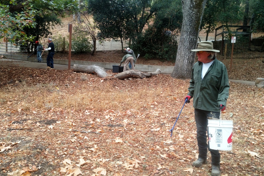 Picking up trash and removing debris from the driveway to Hwy 41.